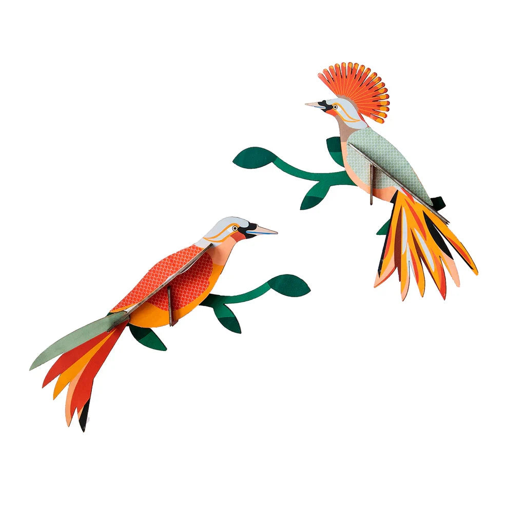 Wall Art Paradise Birds Obi x Studio Roof - Third Drawer Down