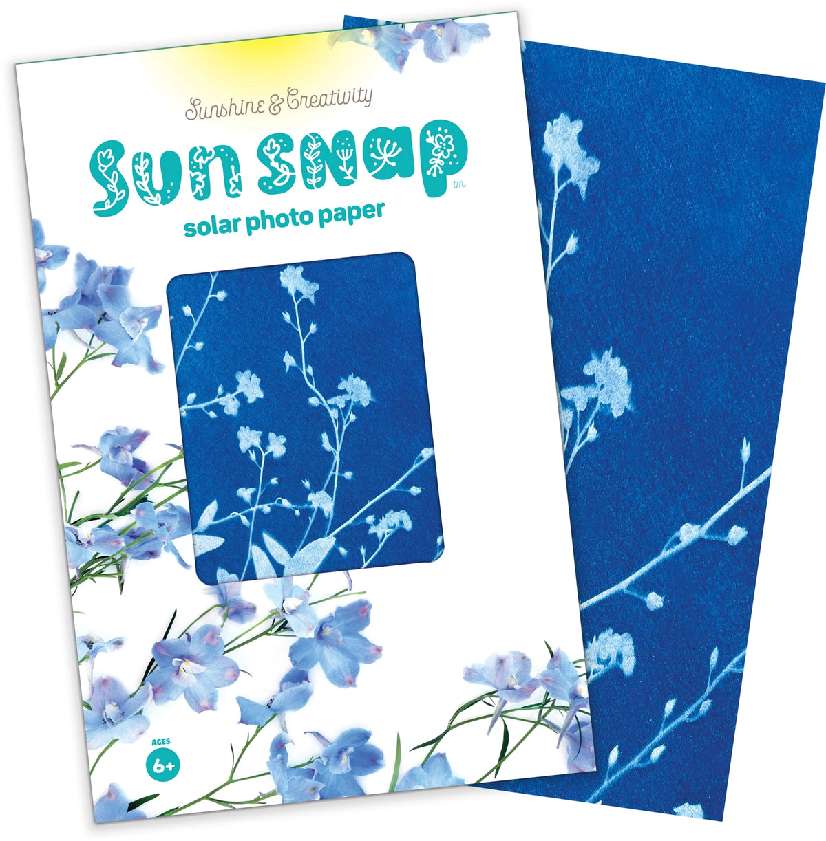 Sun Snap Photo Paper: Cyanotype Sun Print Kit - Third Drawer Down