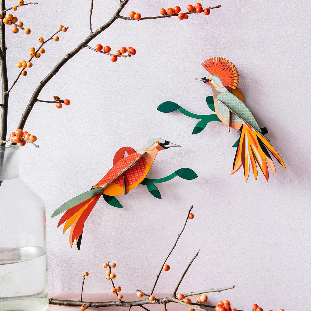 Wall Art Paradise Birds Obi x Studio Roof - Third Drawer Down
