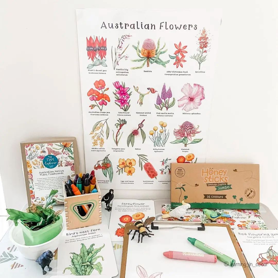 Honeysticks Jumbo Crayons 16 Pack - Third Drawer Down