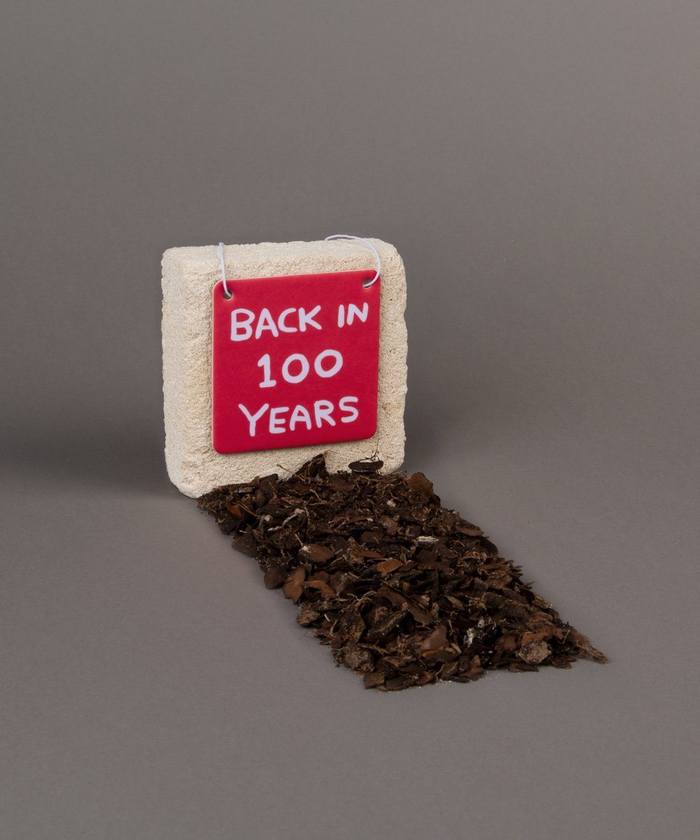 Back In 100 Years Air Freshener x David Shrigley - Third Drawer Down