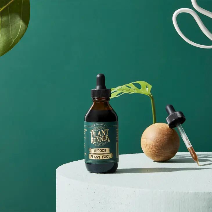 Indoor Plant Food - The Plant Runner - Third Drawer Down