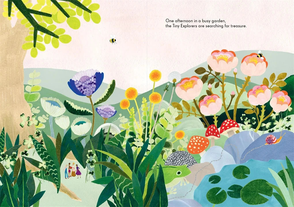 The Tiny Explorers - Kat Macleod - Third Drawer Down