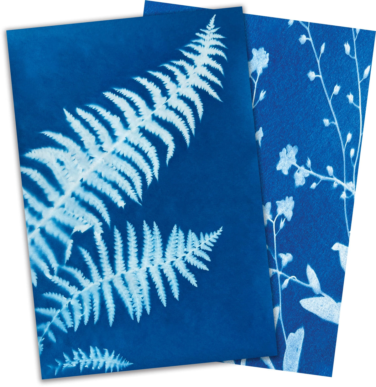 Sun Snap Photo Paper: Cyanotype Sun Print Kit