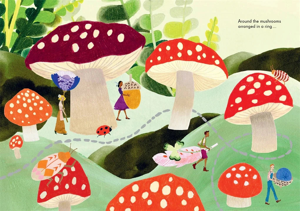 The Tiny Explorers - Kat Macleod - Third Drawer Down