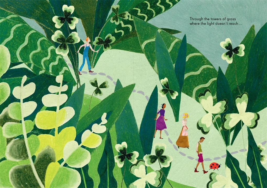 The Tiny Explorers - Kat Macleod - Third Drawer Down