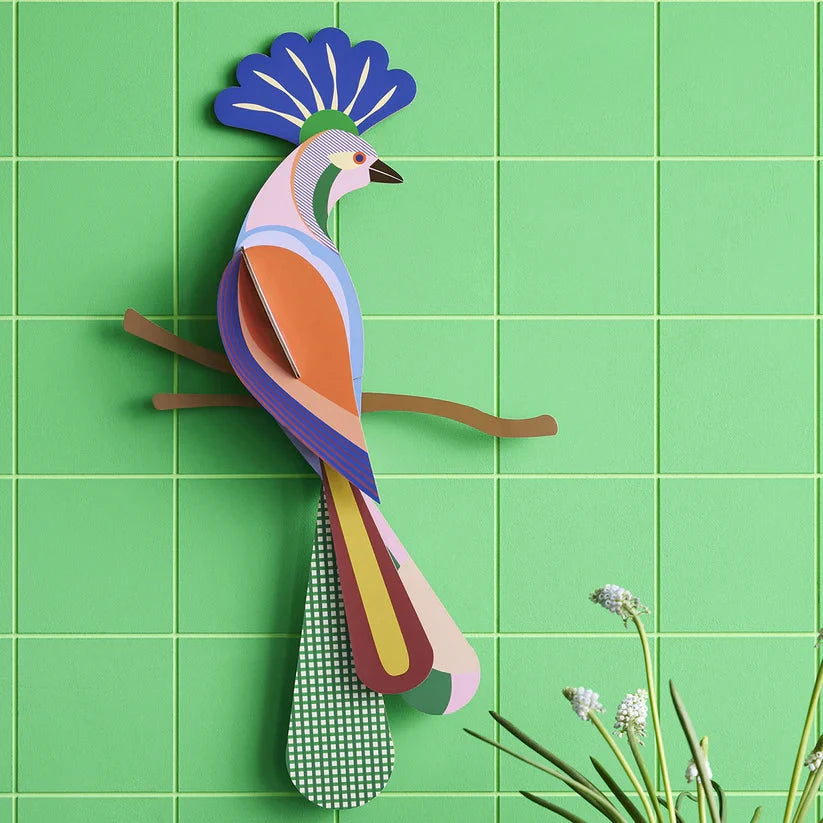 Wall Art Paradise Birds Tinjil x Studio Roof - Third Drawer Down