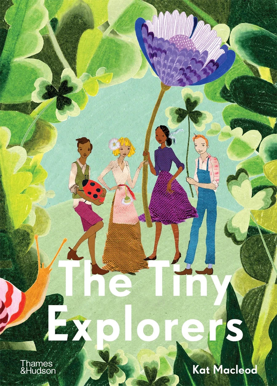 The Tiny Explorers - Kat Macleod - Third Drawer Down