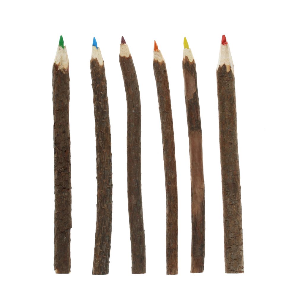 Twig Colouring Pencils (Set of 6)