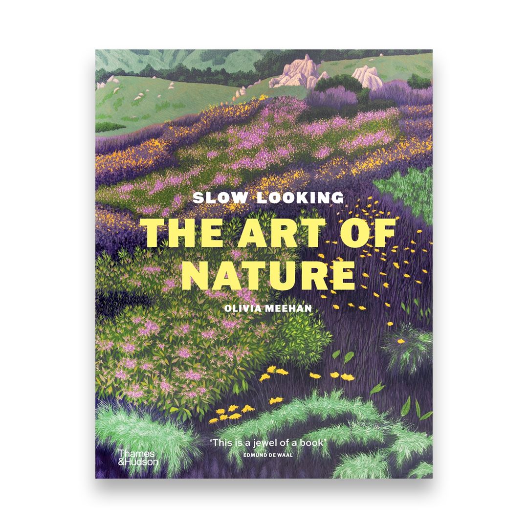 Slow Looking: The Art of Nature - Third Drawer Down