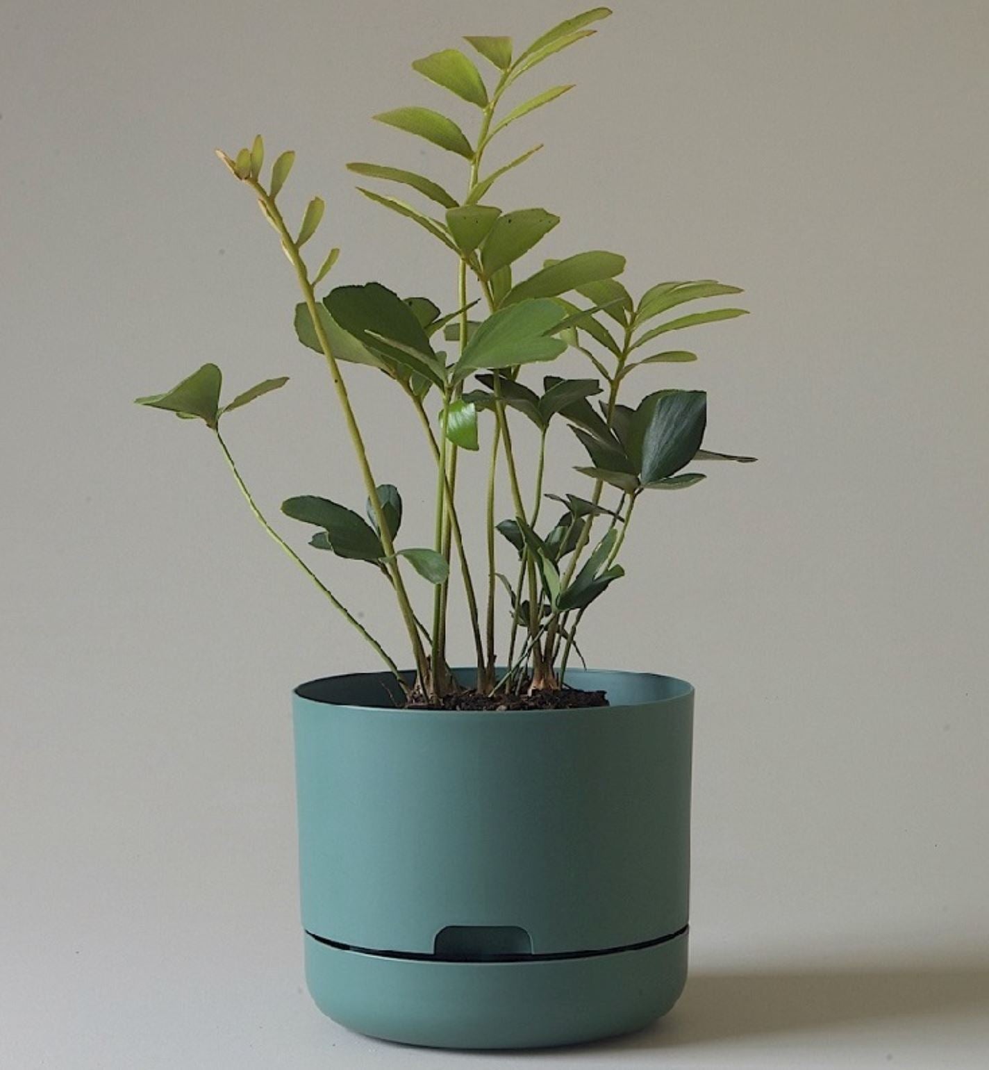 Mr Kitly - Self Watering Dark Moss 375mm Plant Pot - Third Drawer Down