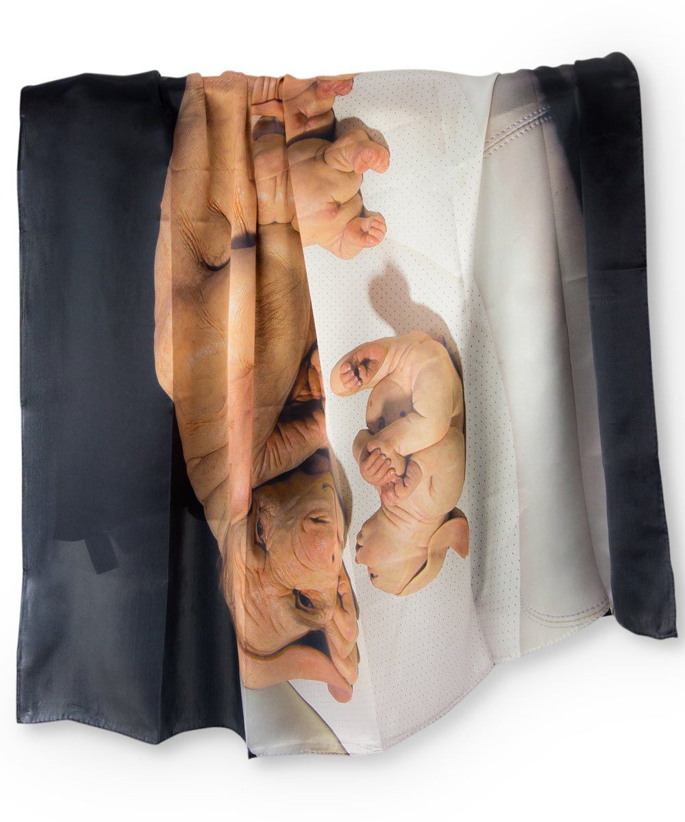 The Young Family Silk Scarf x Patricia Piccinini - Third Drawer Down