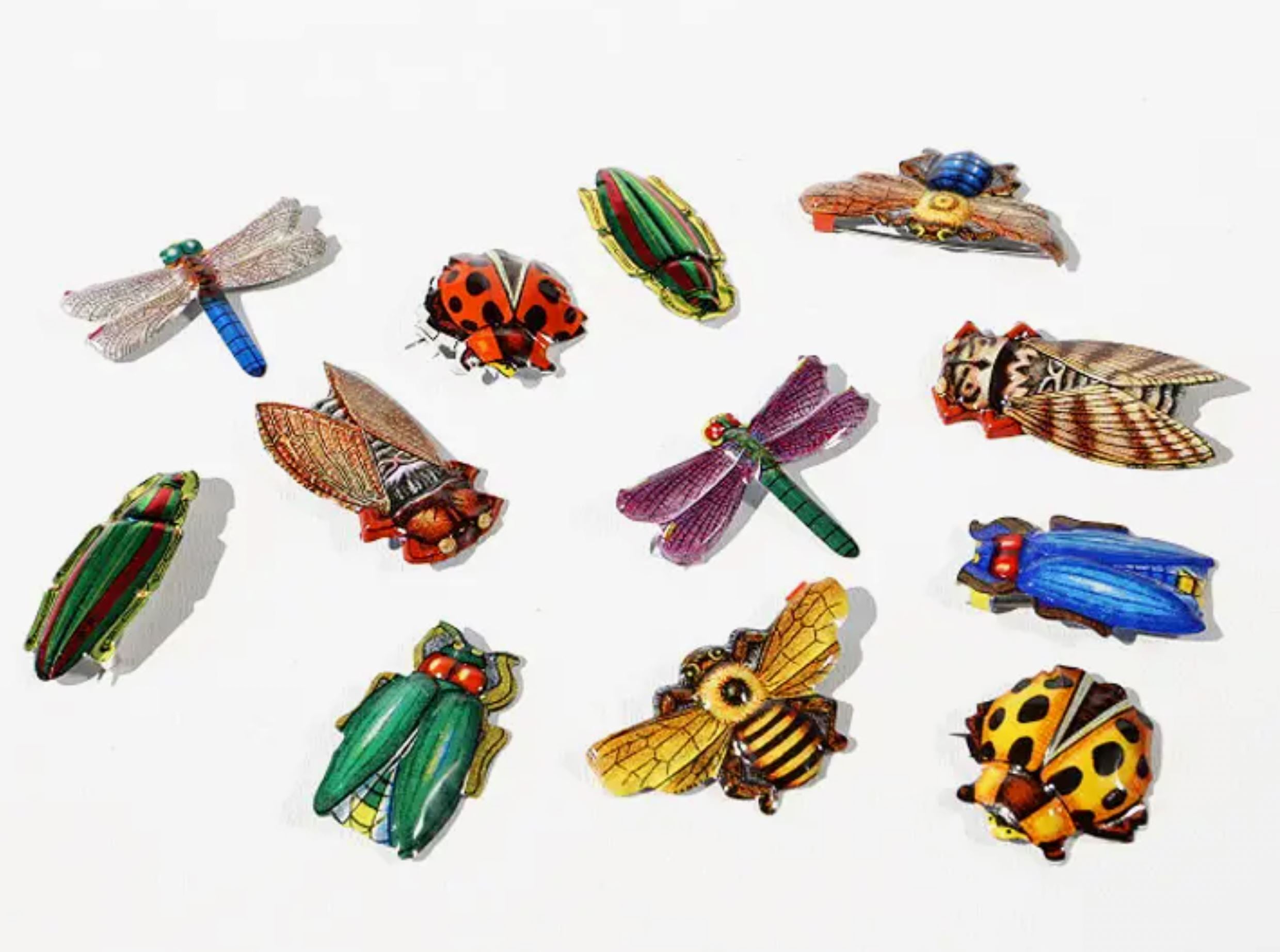 Nostalgic Japanese Insect Pin Badges - Third Drawer Down