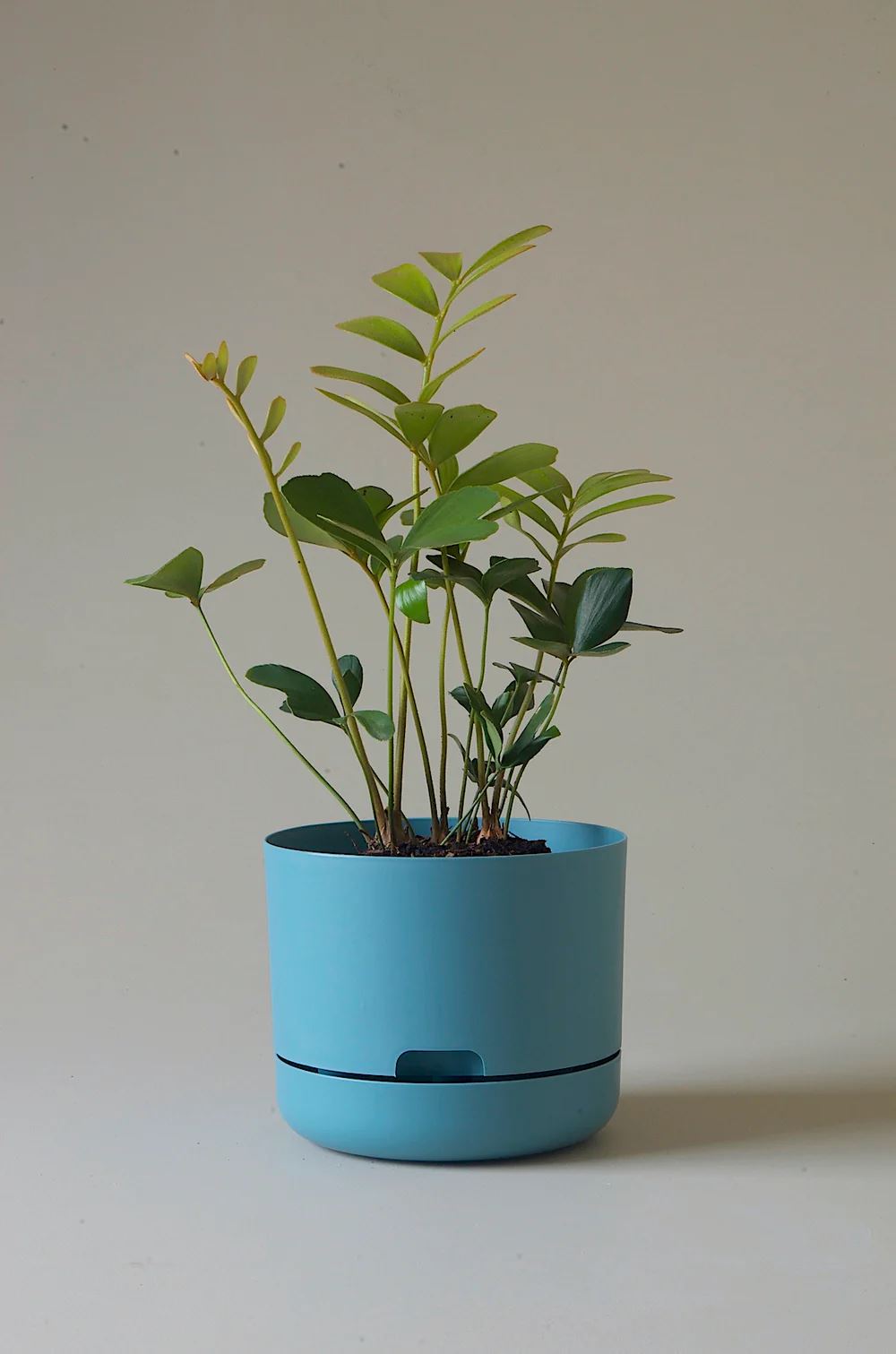 Mr Kitly - Self Watering Pond Blue 215mm Plant Pot - Third Drawer Down