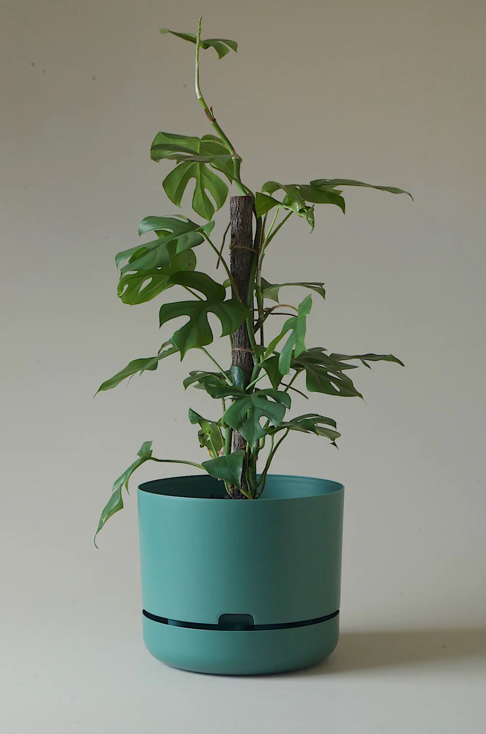 Mr Kitly - Self Watering Dark Moss 300mm Plant Pot - Third Drawer Down